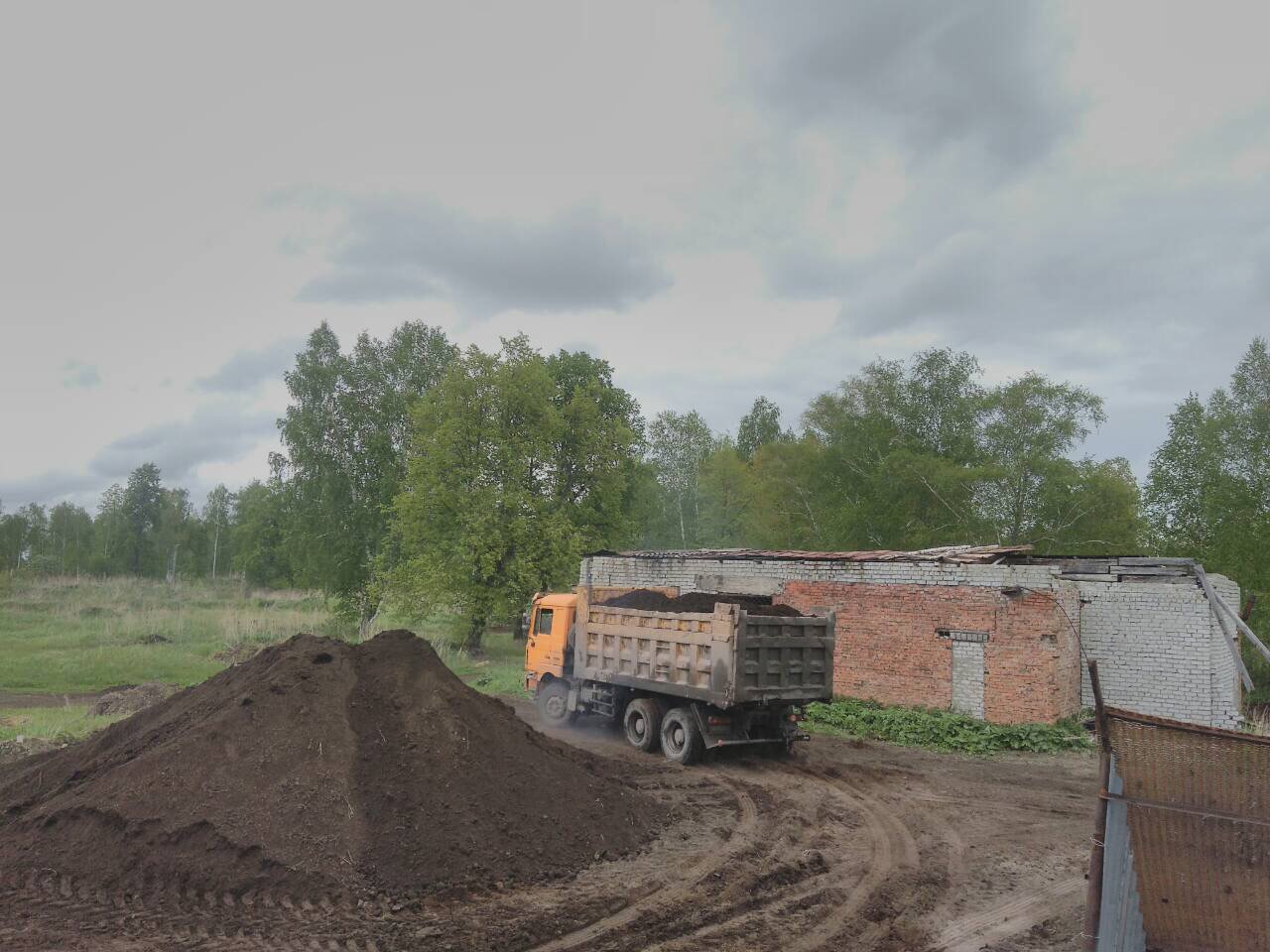 Купить чернозем в Тюмени / Чернозем Тюмень